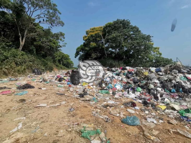 Barrido en basurero de Nanchital, hasta el lunes
