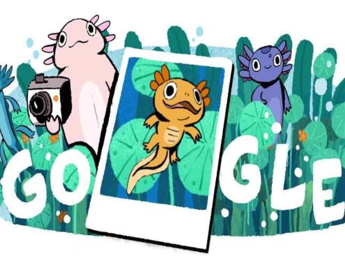 Google lanza Doodle para celebrar al ajolote y el Lago de Xochimilco