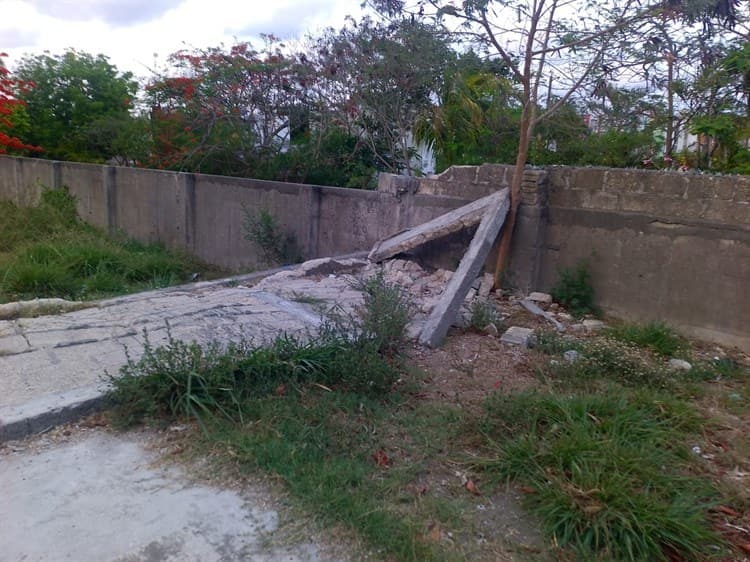 Peligro por bardas caídas cerca de un parque en Lagos de Puente Moreno
