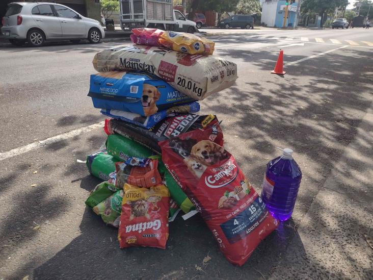 ¡Si se pudo! Croquetón recauda casi 100 kilos para animales rescatados en Veracruz