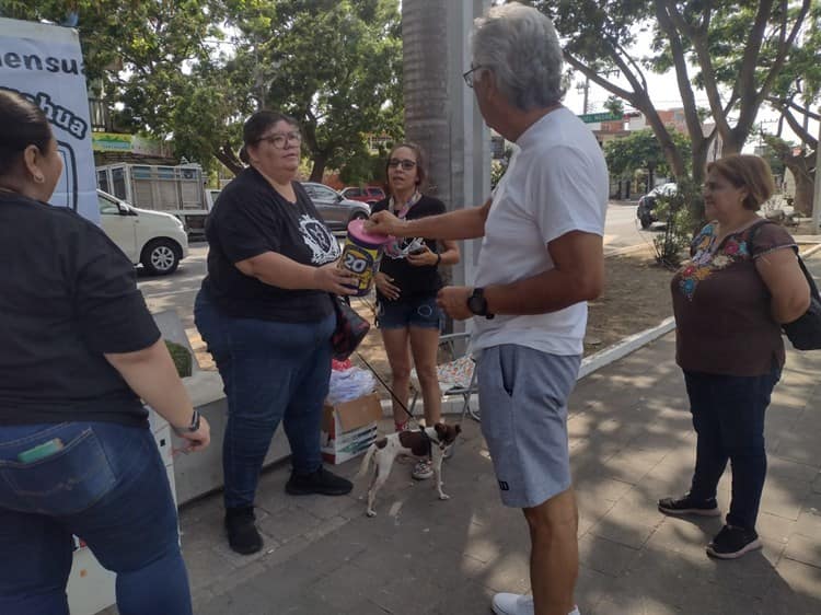 ¡Si se pudo! Croquetón recauda casi 100 kilos para animales rescatados en Veracruz