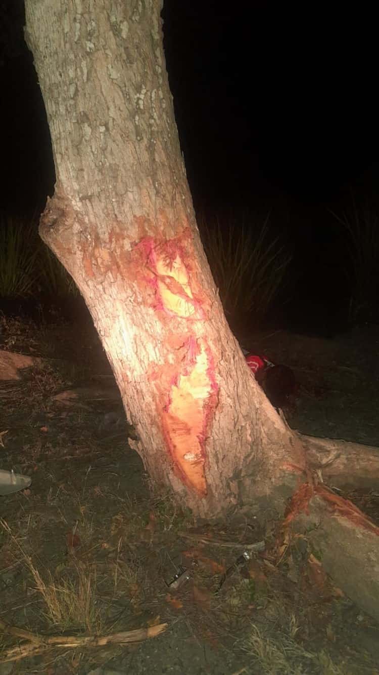 Joven motociclista se desfigura el rostro tras chocar contra árbol en Úrsulo Galván