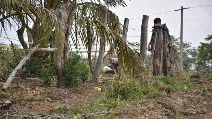 Asesinan a tres campesinos lecheros en sur de Veracruz