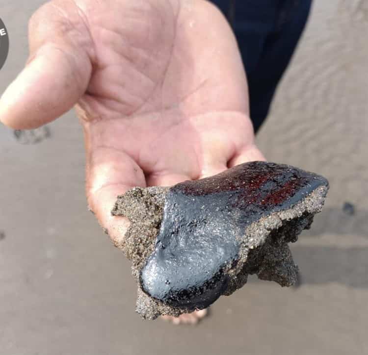 Las heridas del océano: chapopote deja su marca en la playa de Chachalacas