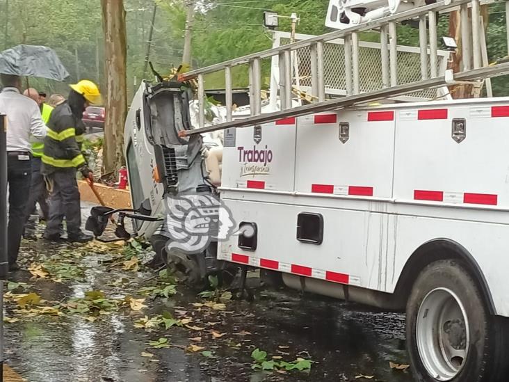 En aparatoso accidente, árbol cae sobre trabajadores municipales de Xalapa; un muerto y 4 heridos (+Video)
