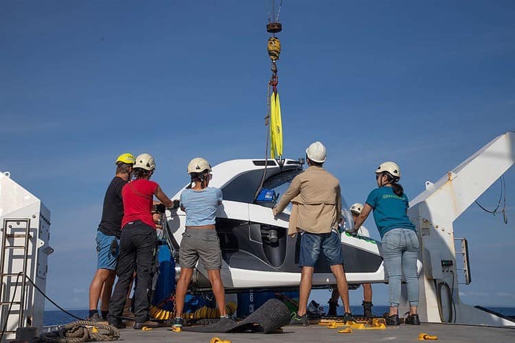 Gasoducto pone en riesgo arrecifes de Veracruz, advierte Greenpeace