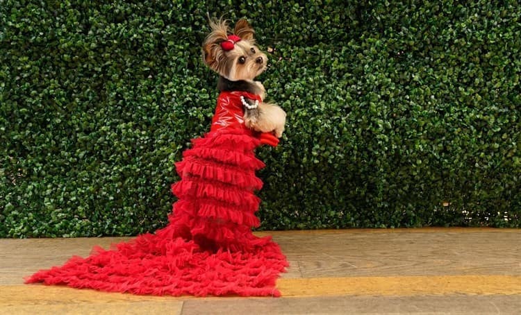 ¡Que hermoso! Dueños de perrito recrean vestuario de Salma Hayek en la MET Gala