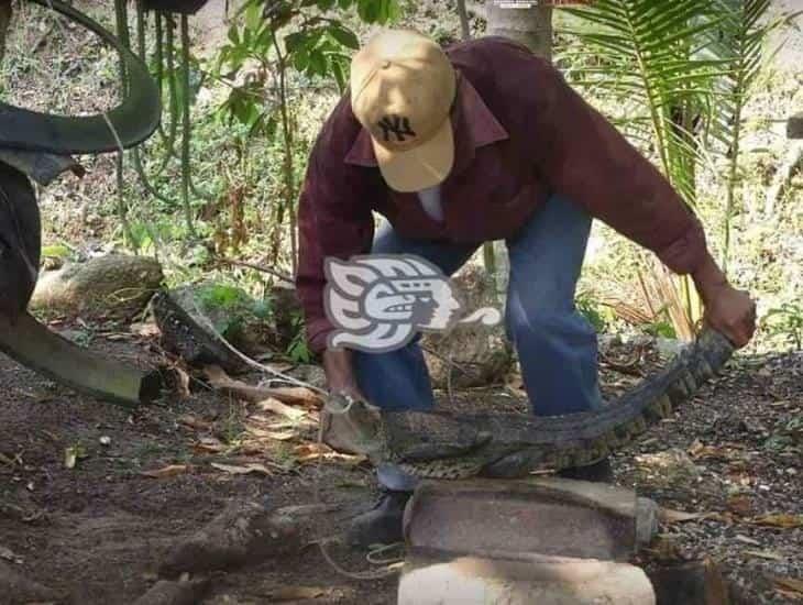 Lagarto aterroriza a comenzales de restaurante en Ixhuatlán