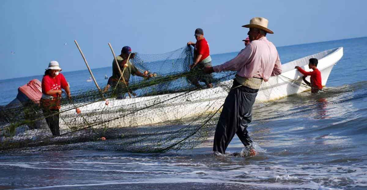 La crisis de la pesca veracruzana
