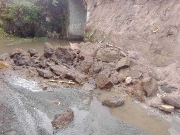 Se deslava paso de ganado en Puente Nacional por lluvias