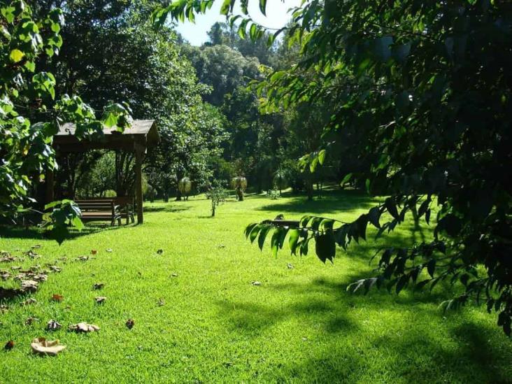 Jardín Botánico Clavijero, orgullo de Xalapa