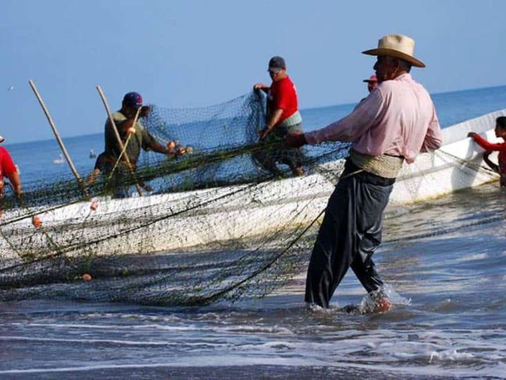 Lluvias en Veracruz benefician a la pesca, aseguran pescadores