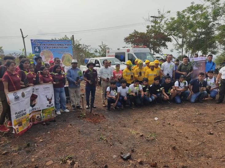 Realizan campaña de reforestación en la Sierra de Santa Martha