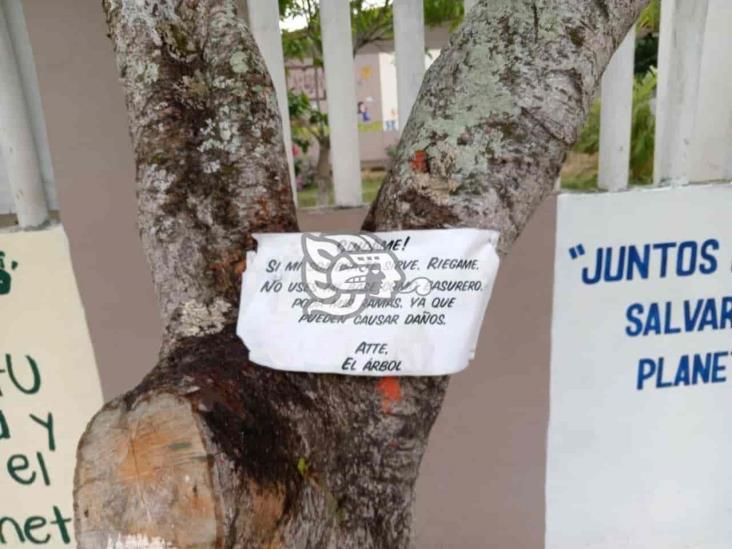 Estudiantes nanchitecos buscan fomentar el cuidado del medio ambiente