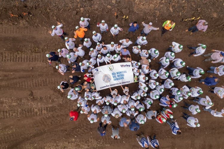 Constellation Brands se suma a reforestación en Veracruz