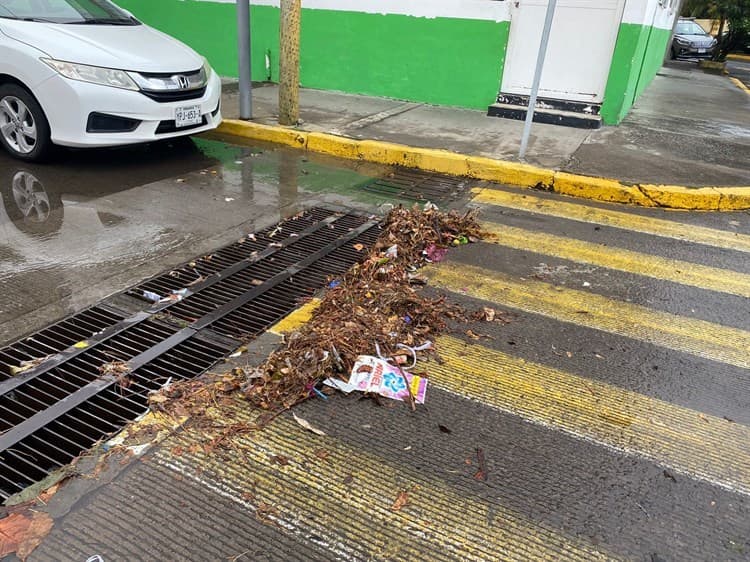 Basura acumulada en alcantarillas afectó a vecinos en Veracruz