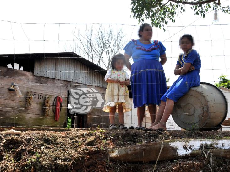 El infierno de las niñas en el sur de Veracruz: sufren abusos sexuales y embarazos de sus padres