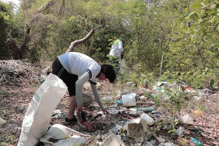 Estudiantes del Cetmar limpian los manglares de Mandinga