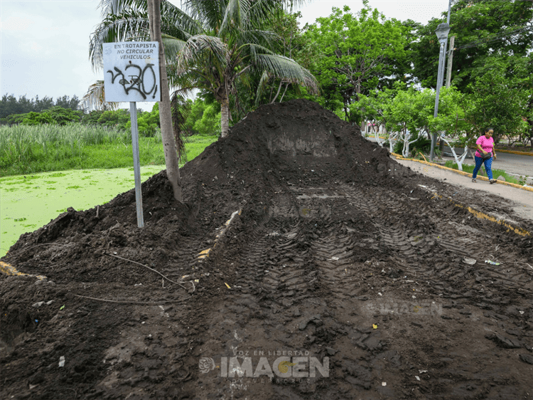 Acusan inundaciones y maleza en laguna Lagartos