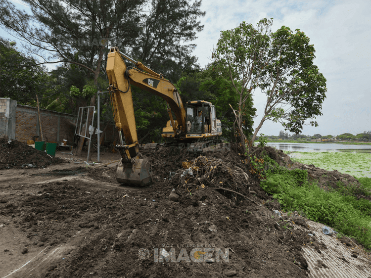 Acusan inundaciones y maleza en laguna Lagartos