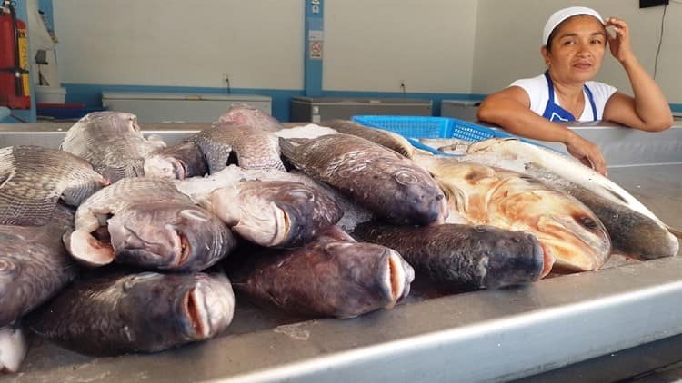 Hay alternativas en bodegas de mariscos ante escasez de especies en Coatzacoalcos