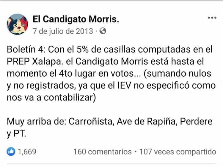 Hace 10 años un gato se convirtió en candidato, en Xalapa