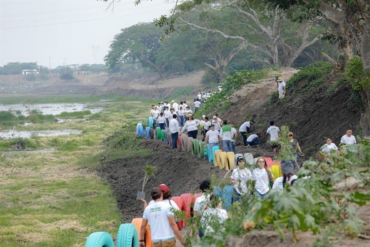 Limpian y reforestan las lagunas Las Conchas y Tarimoya, en Veracruz