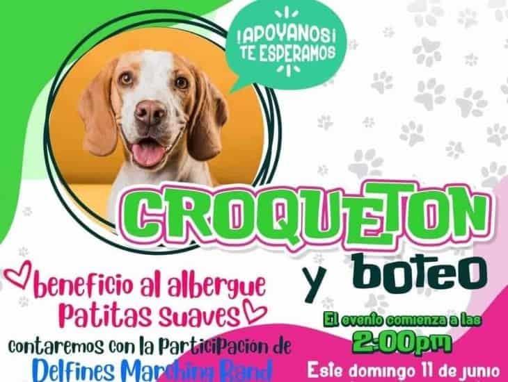 Es tiempo de ayudar; este domingo, croquetón en Xalapa