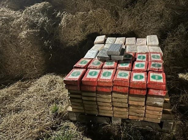 Guardia Nacional intercepta cargamento de cocaína en sur de Veracruz, oculto entre paja