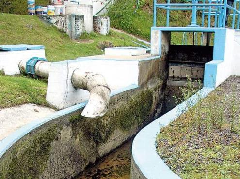 Cierran válvulas de agua en Xalapa por mortandad de peces en Chilchotla; temen problema de salud