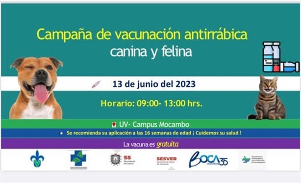 UV lanza jornadas gratuitas de vacunación antirrábica en Veracruz y Boca del Río