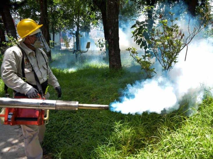 Veracruz estará bajo acecho del dengue todo el año; ya es tercer lugar nacional