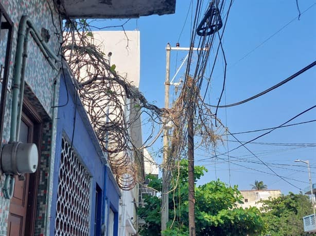 ¡Parecen telarañas! Cables enredados embellecen las calles de Veracruz