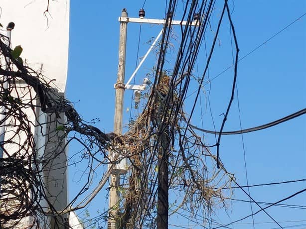 ¡Parecen telarañas! Cables enredados embellecen las calles de Veracruz