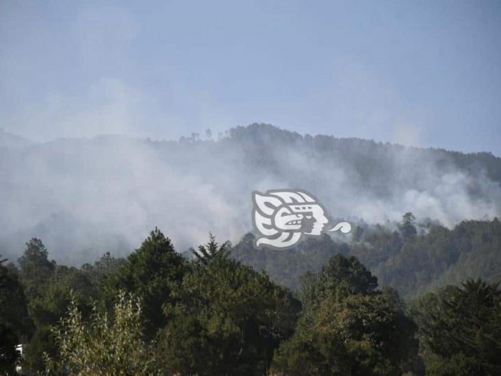 En Perote, fuego devora 50 hectáreas y en Las Vigas 10 (+Video)