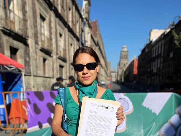 Faltan protocolos para la interrupción del embarazo en Veracruz