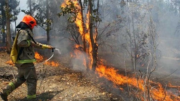 Prohibirán quemas agrícolas por 2 meses ante incendios; piden a alcaldes atender abasto de agua
