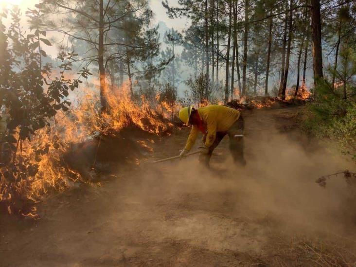 Incendios también afectan al sur de Veracruz