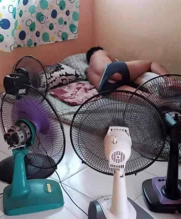 Ola de memes deja la ola de calor en Veracruz