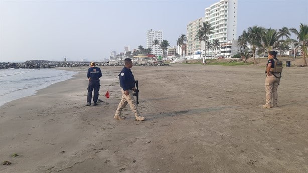 Hallan tortuga muerta en playa de Boca del Río