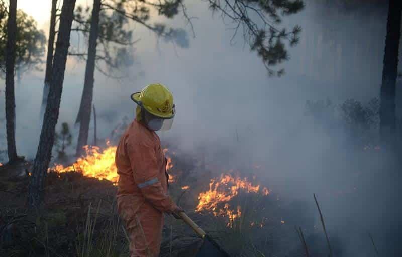 Durante prohibición en Veracruz, municipios multarán por quemas agrícolas
