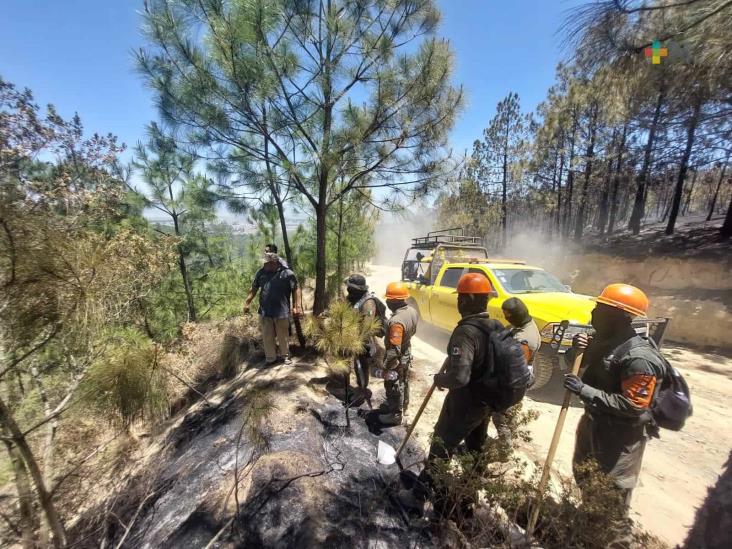 Liquidan incendio en Las Vigas; en Perote, 35 por ciento de avance