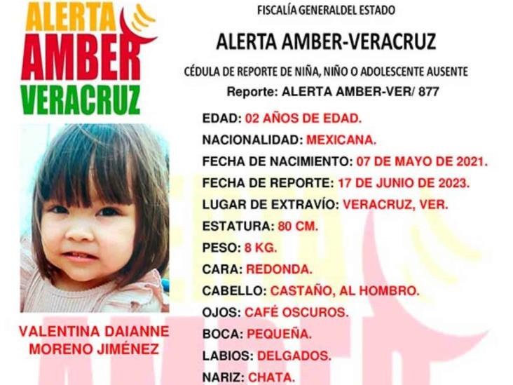 Desaparece niña de 2 años en Veracruz; emiten Alerta Amber para localizarla