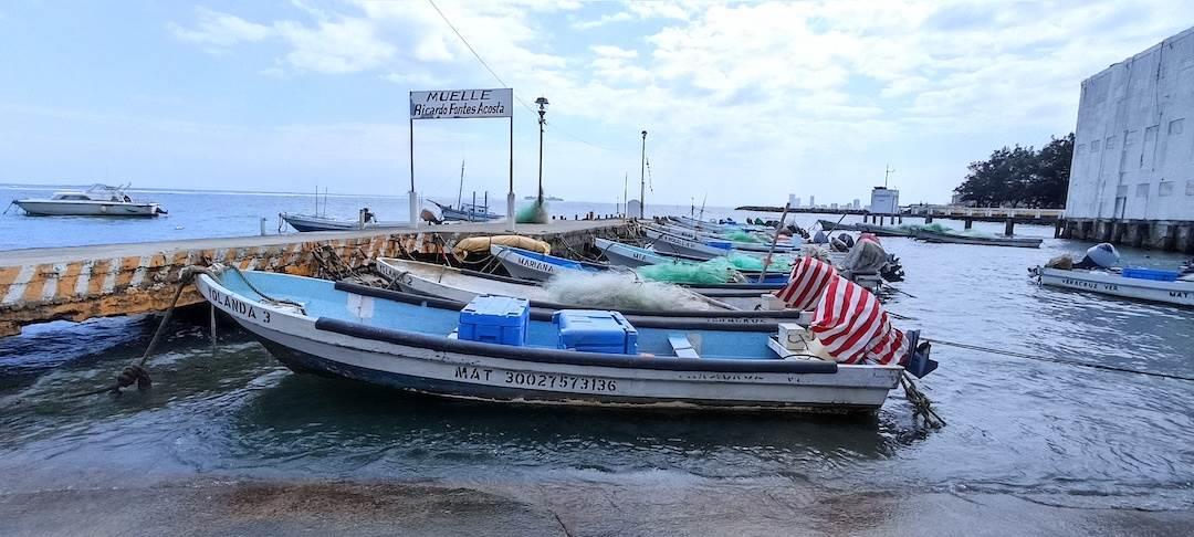 Ola de calor impide a pescadores capturar sardina en Veracruz