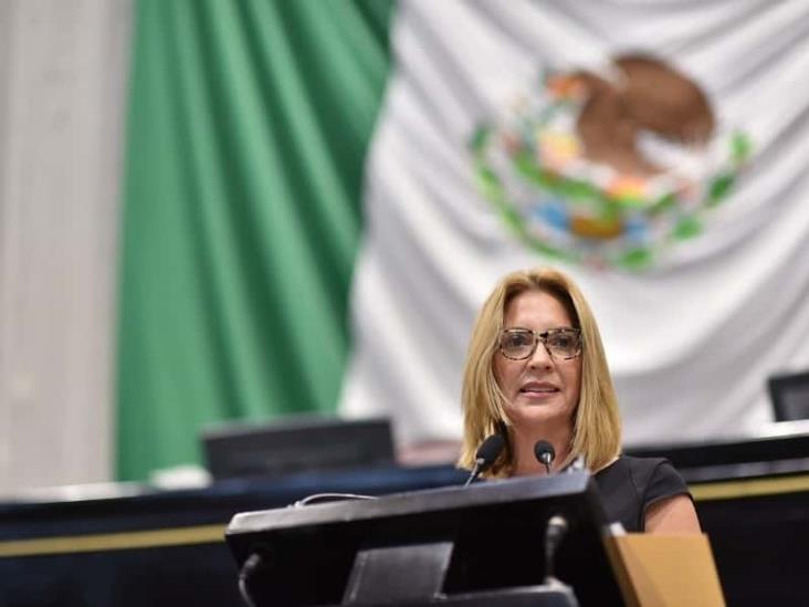 Congreso votará pronto la ley para sancionar deudores alimentarios en Veracruz