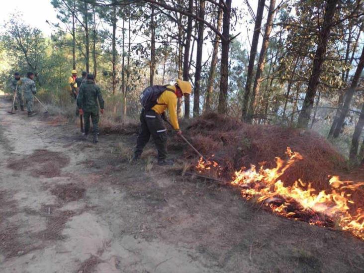 Reporta Spc Más De 15 Incendios Activos En Veracruz 7416