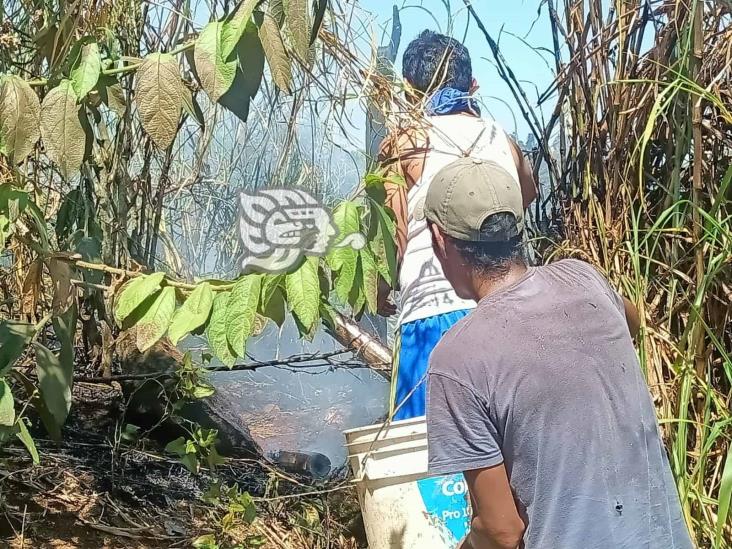 Se incendian lotes baldíos en colonia de Xalapa