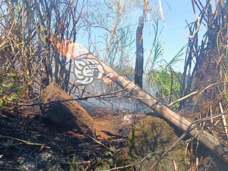 Se incendian lotes baldíos en colonia de Xalapa