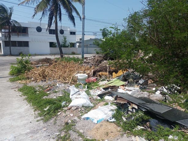 Lote baldío es usado como basurero en fraccionamiento de Boca del Río
