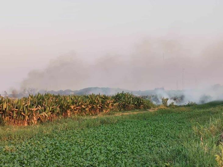 Aumentan incendios en pantanos de Nanchital